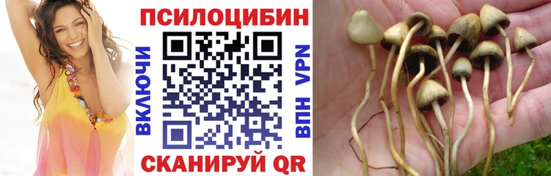 Псилоцибиновые грибы MAGIC MUSHROOMS  Купить закладки  Новомосковск 